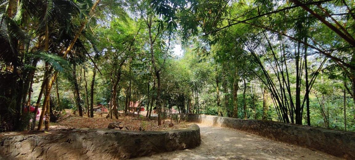 Clay Resort By Bestinn Leisure - Wayanad Padinjarathara Bagian luar foto